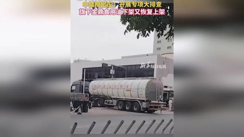 食用油安全風波再起 中儲糧金鼎疑遭污染，官方緊急行動凸顯行業隱憂